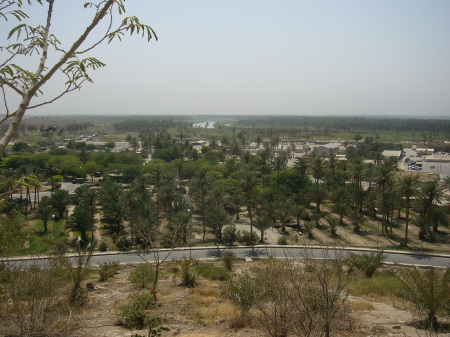 LUSH PALM GROVE BY RIVER BELOW SADDAM'S PALACE