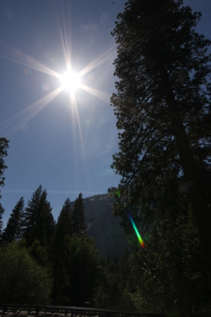 Yosemite 08