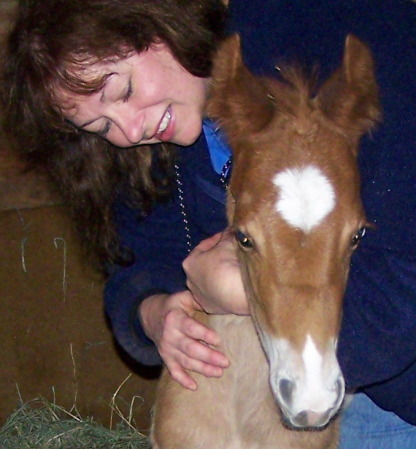 2008 foal!