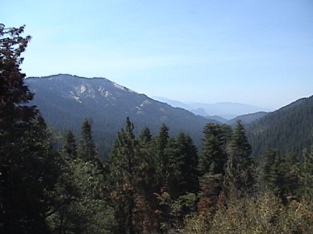 Sierra Nevada Redwoods