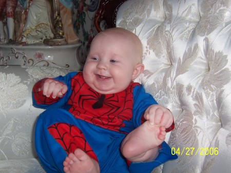 little spiderman