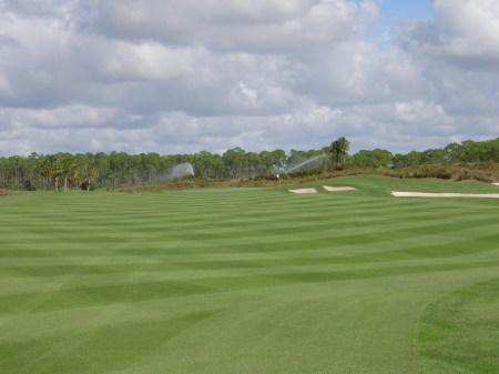 Hole # 1, Coral Creek Club, where I am the Golf Course Superintendent