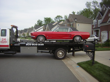 "Lady Bug" 1967 Mustang