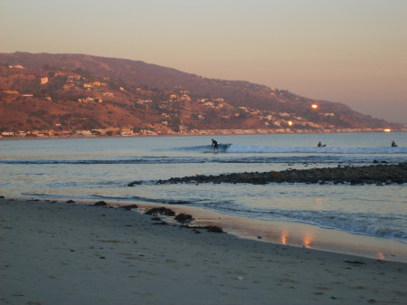 Surfing in Malibu, CA