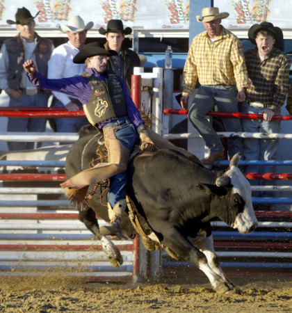 Riding the Bull