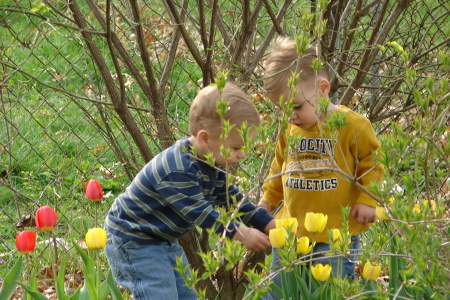 Picking Mommy a flower!