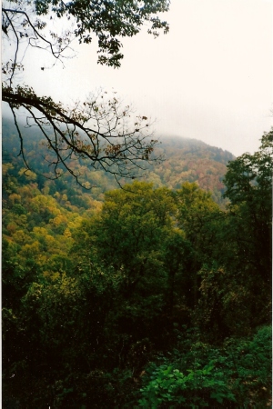Picture in the smokies