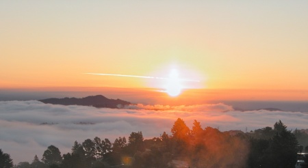 Sunrise off our deck in Mill Valley