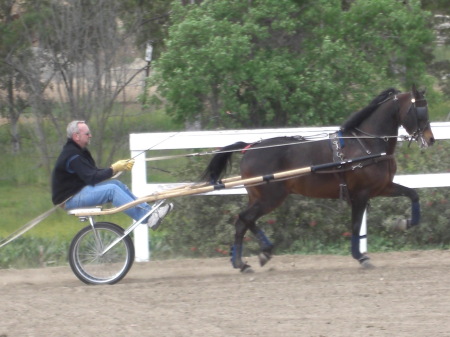 RT & His Horse Maverick