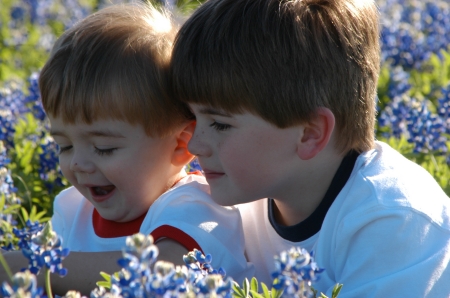 My grandsons...Raider and Gunner