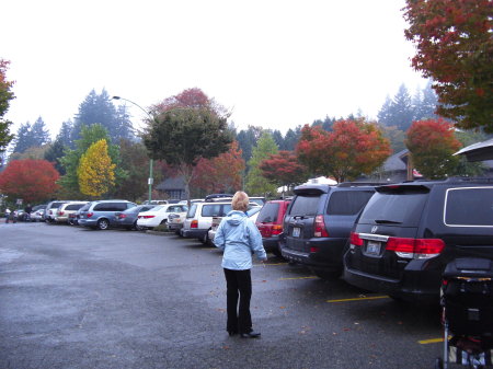 Me looking at the beautiful trees in Portland