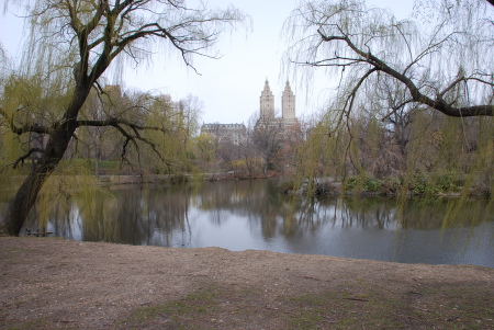 View of the Eldorado from Central Park