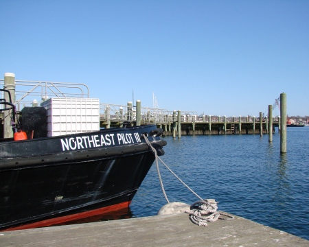 goat island dock s