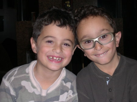 My sons Joshua and Nathan - 7 years old