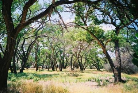 along the rio grande