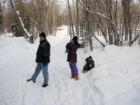 On the sleigh trail