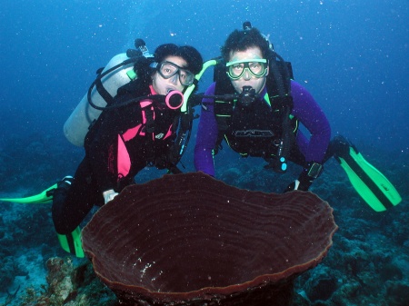 Diving in the Bahamas