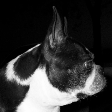 capone's profile