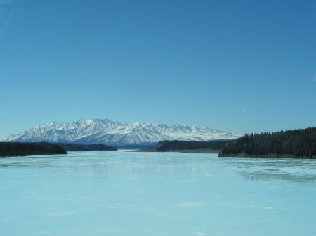 Near Delta Junction Alaska