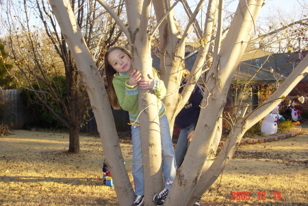 My tree climbing daughter