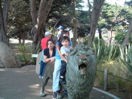 SF Zoo pic