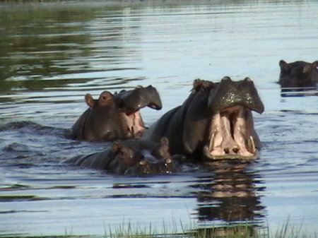 Botswana Africa 2004