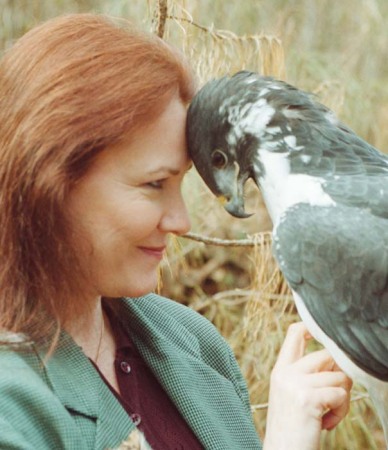 Artemis, the Augur Buzzard and me