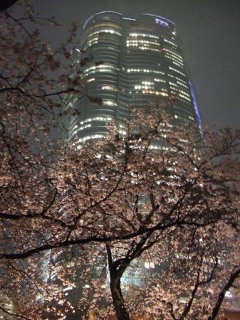 Mori Tower in Roppongi Hills, Tokyo