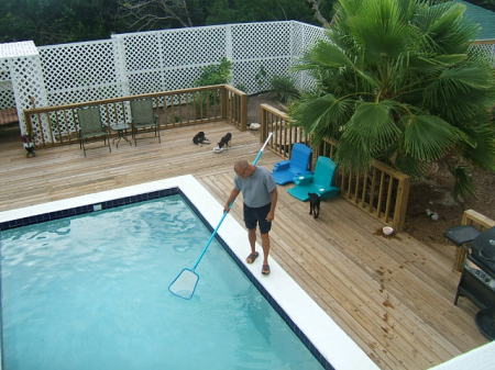 Puppies and the Pool