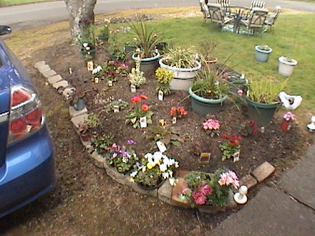 New flower bed