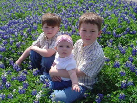 Bluebonnets