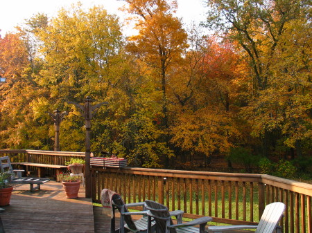 Autumn at home in NJ