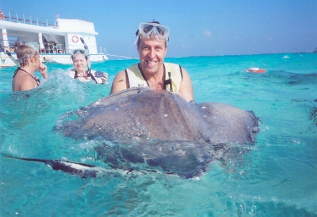 Cayman Islands Sting Rays