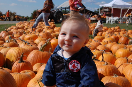 griffin in the pumpkin patch