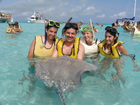 Sting Ray City in Grand Cayman