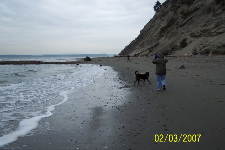taking a stroll on the beach in Seattle...the dogs love it!