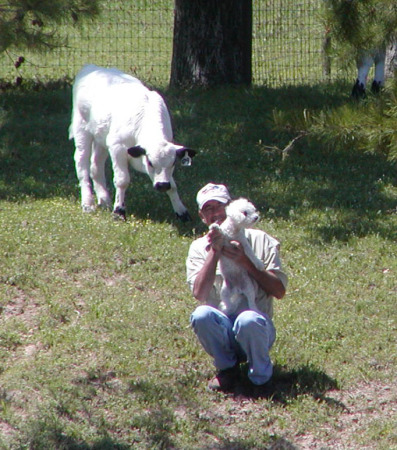 Mike and Fred with a Curious Calf Lurking :)