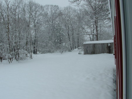 Snowed in 2005