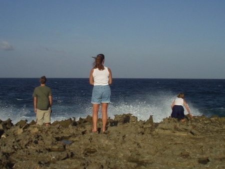 on the coral rocks in bonaire