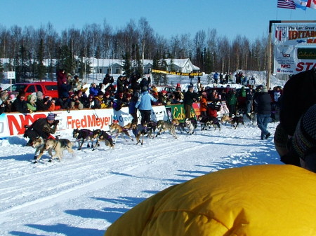 Iditarod - Willow, Alaska 2006