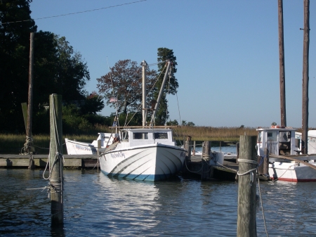 Dead Rise on Deep Creek