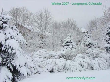 Winter 2007 in Longmont, Colorado