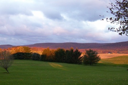 Fall Mountain Colors