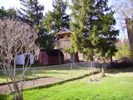 cool tree house,chateau bowwow