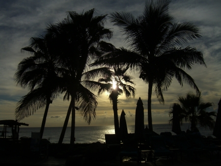 Cabo Sunrise