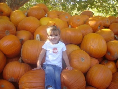 Pumpkins everywhere