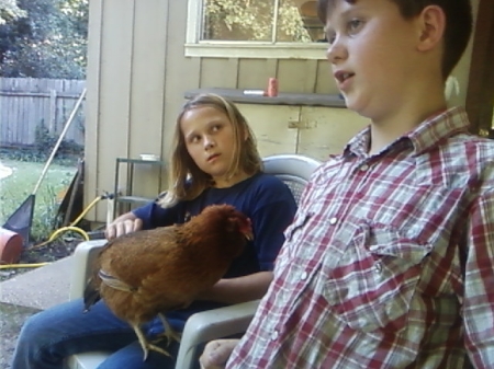 My children & our chicken