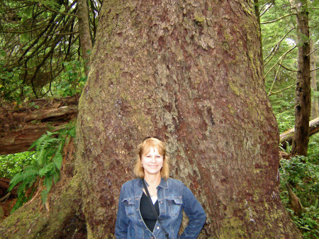 Tofino Rainforest August 2006