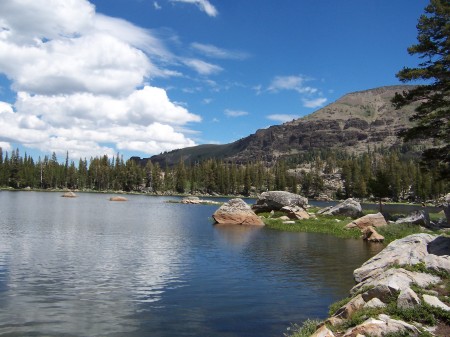 A great thinking spot off Hwy 88