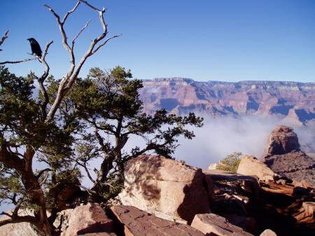 Grand Canyon